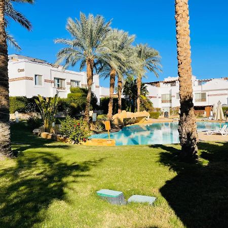 Sunterra Sharm Lejlighed Eksteriør billede